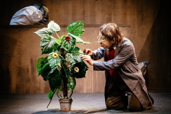 广瑞网 德国默剧团演绎当代成人童话：面具让我们超越身份的界限