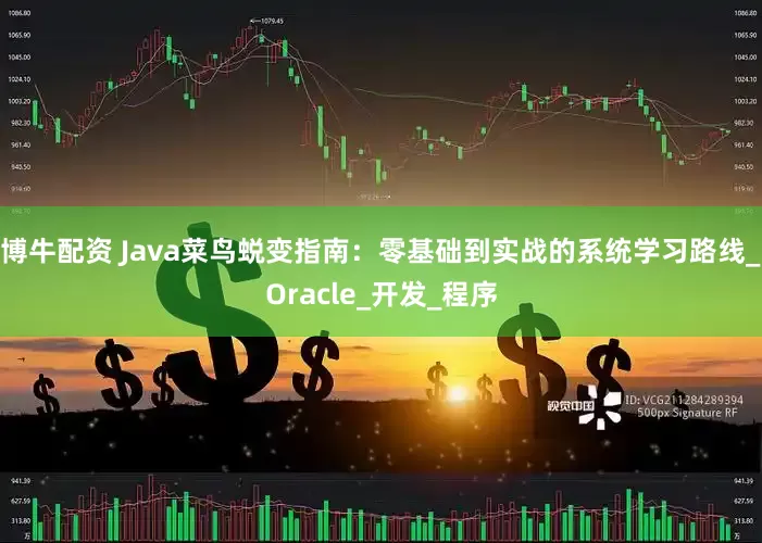 博牛配资 Java菜鸟蜕变指南：零基础到实战的系统学习路线_Oracle_开发_程序