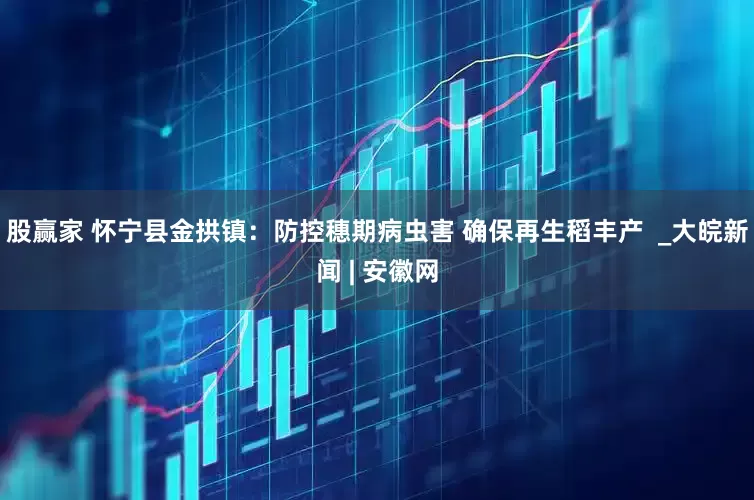 股赢家 怀宁县金拱镇：防控穗期病虫害 确保再生稻丰产  _大皖新闻 | 安徽网