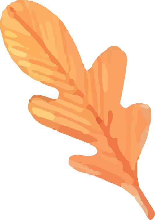 股天乐 「秋韵漫行」活动11月5日开启，「飞羽金风」系列装扮上线！